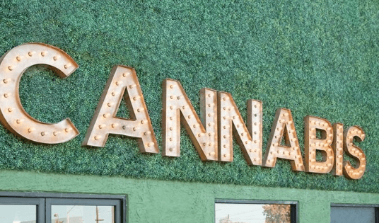 Elevating Cannabis Brands with a Strategic Dispensary Marketing Agency